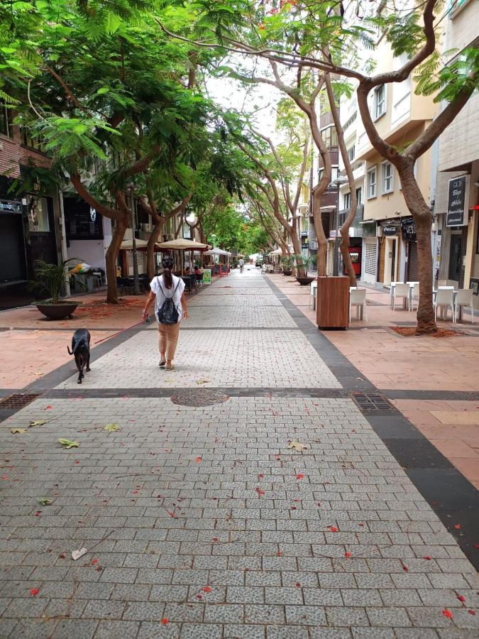 Center Santa Cruz, Alojamiento Centrico Con Gran Terraza, Cocina , Salon Y Banos, Todo Privado Экстерьер фото